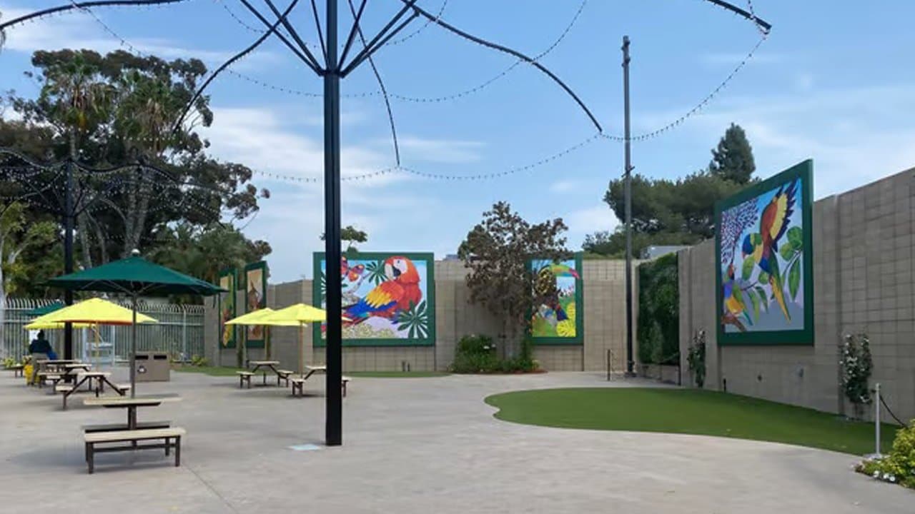 Party Area